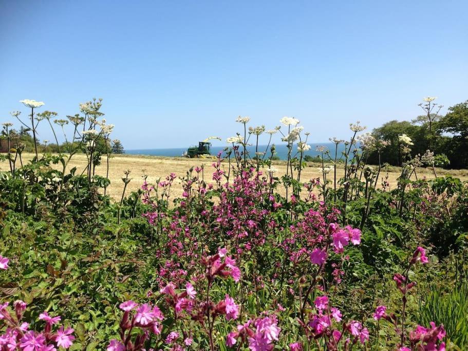 Little Bream - Pretty Cosy Cottage, Sea Views, Walk To The Beach Mawnan Smith 外观 照片