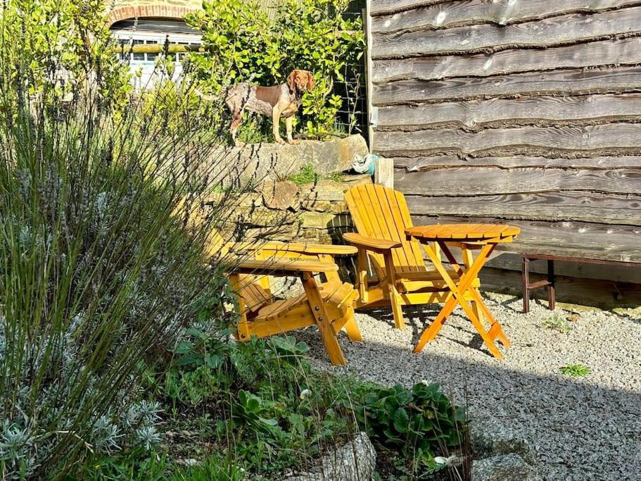 Little Bream - Pretty Cosy Cottage, Sea Views, Walk To The Beach Mawnan Smith 外观 照片